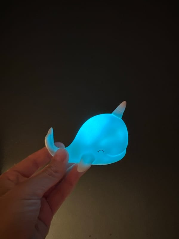 Personal items including glowing toy documented in Fethiye Turkey