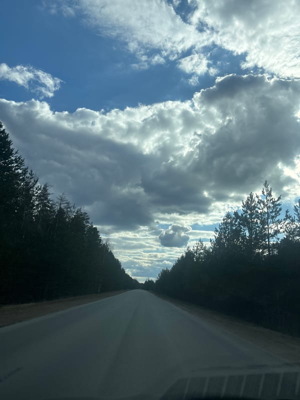 Driver travels forest road near Chaikovsky, Russia