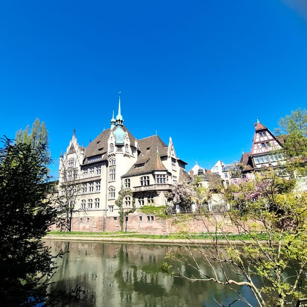 Tour boats navigate Strasbourg canals as spring blooms emerge