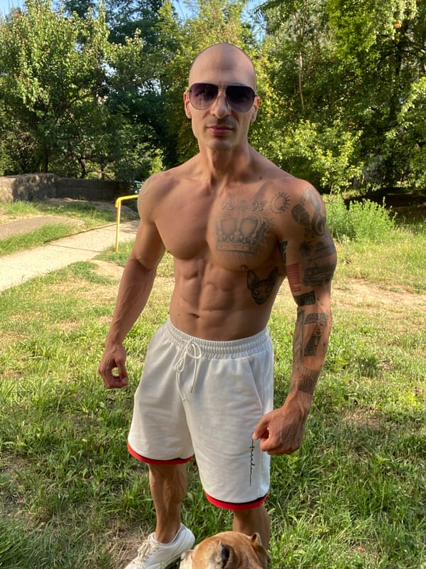 Workout session and dogs at an outdoor fitness spot in Pleven