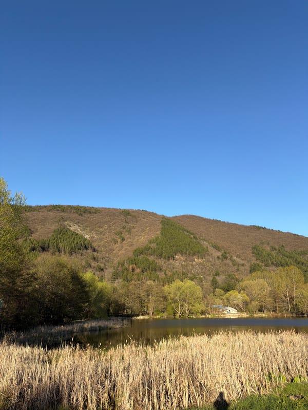 Spring mountain views documented across Sofia region villages