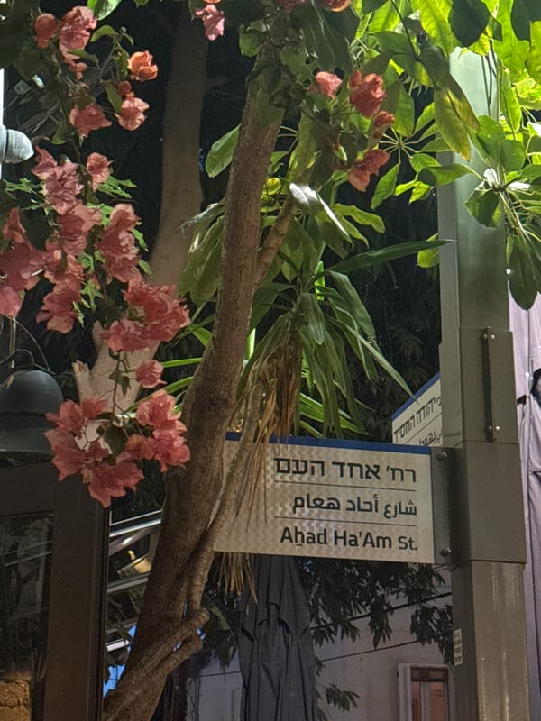 Everyday street life documented on Tel Aviv's Ahad Ha'Am Street