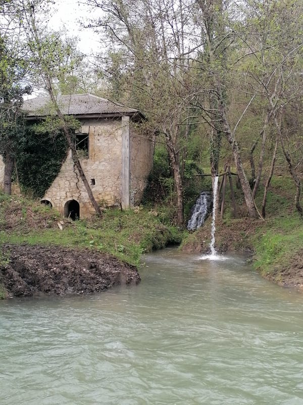 Waterfall documented in Tsukwara, Abkhazia forest setting