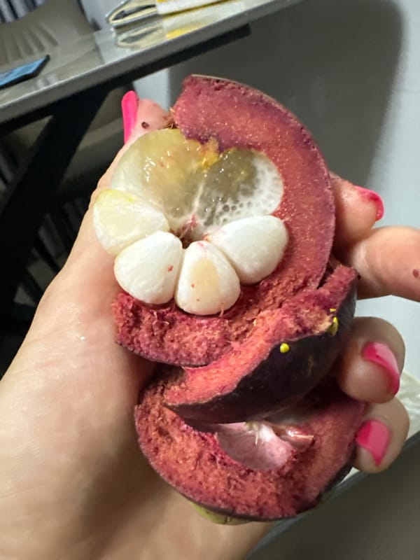 Person displays halved mangosteen fruit in Vietnam indoor setting