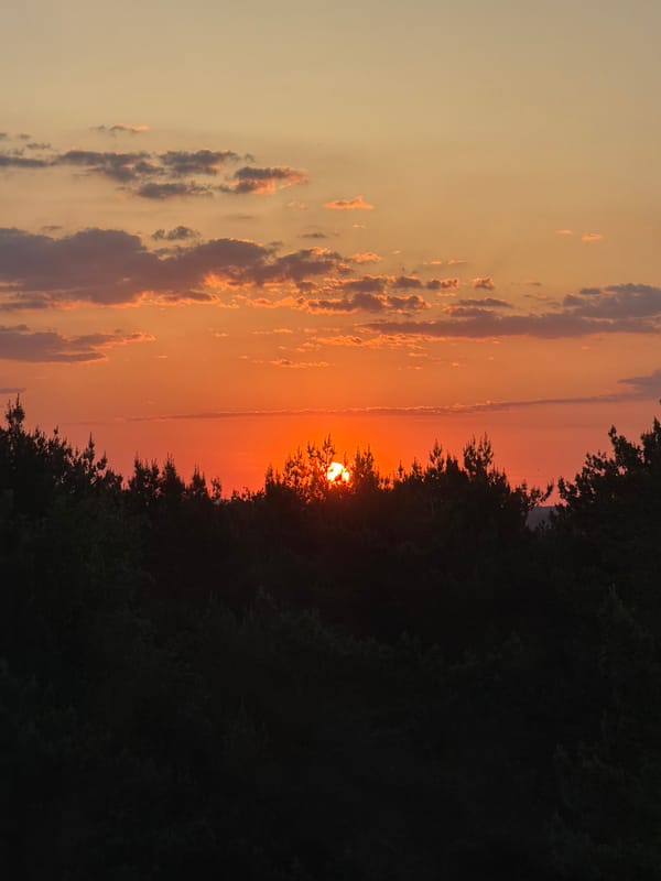 Sunset through trees witnessed in Chaikovsky, Russia