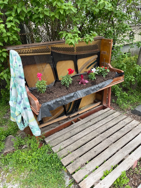 Repurposed piano becomes flower planter in Sofia, Bulgaria