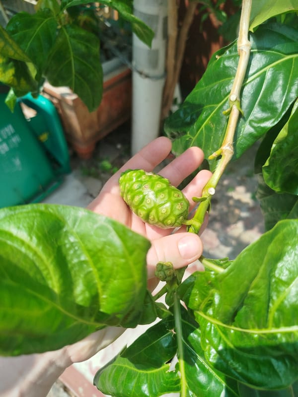 Solo documentation of urban and abandoned sites in Ho Chi Minh City