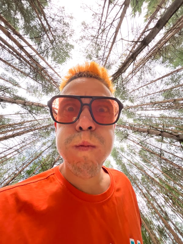 Forest canopy selfie looking skyward in Chaikovsky, Russia