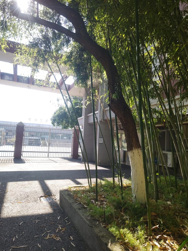 Daily life documented across Chongqing High-tech Zone campus district