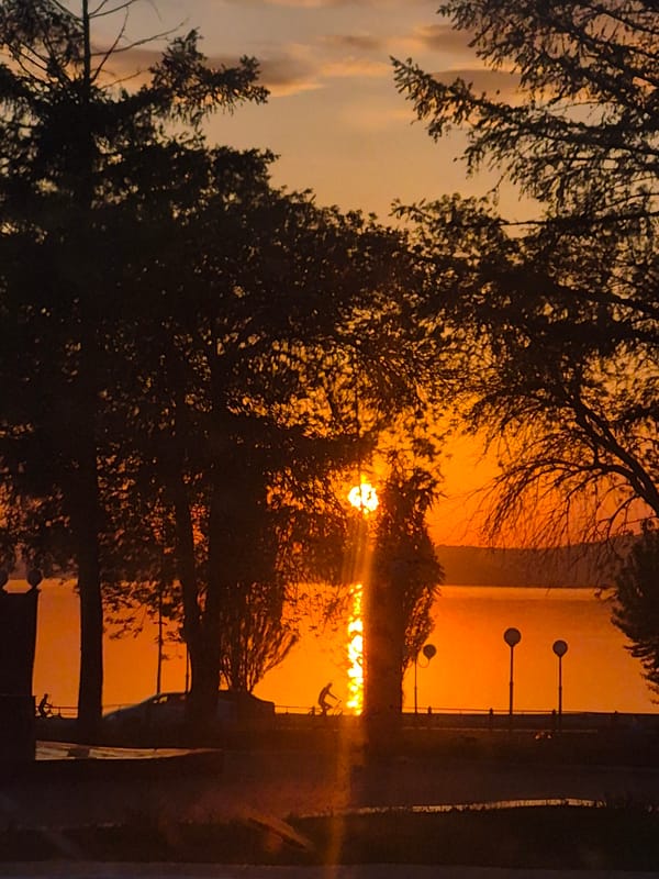 Urban waterfront sunset observed through trees with streetlights
