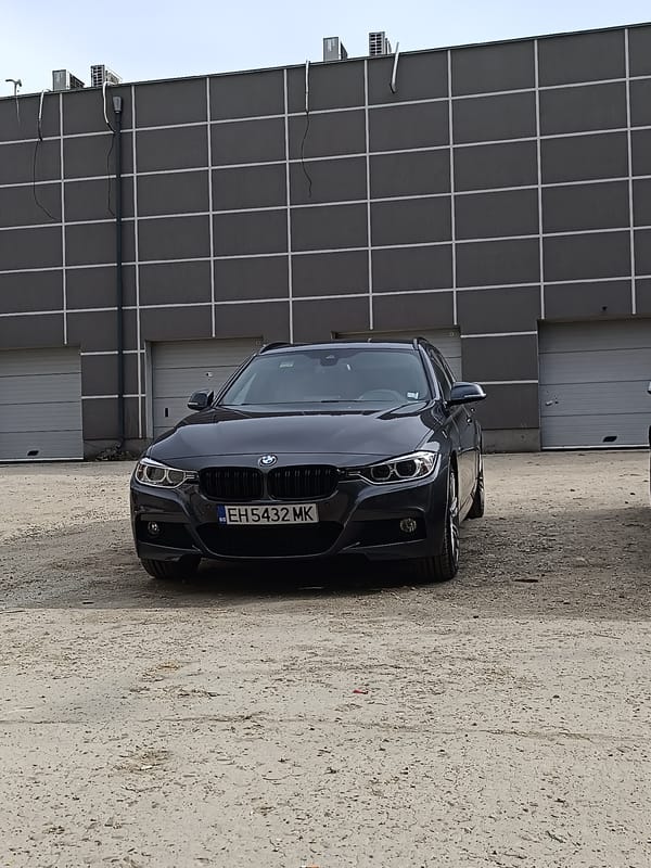 Dog walk and ice cream break documented in Pleven