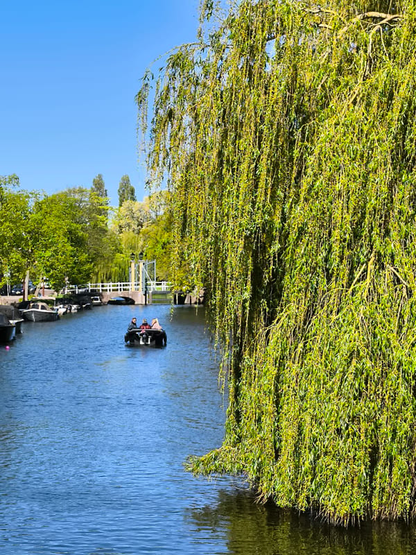 Spring morning canal scene documented in Alkmaar, Netherlands