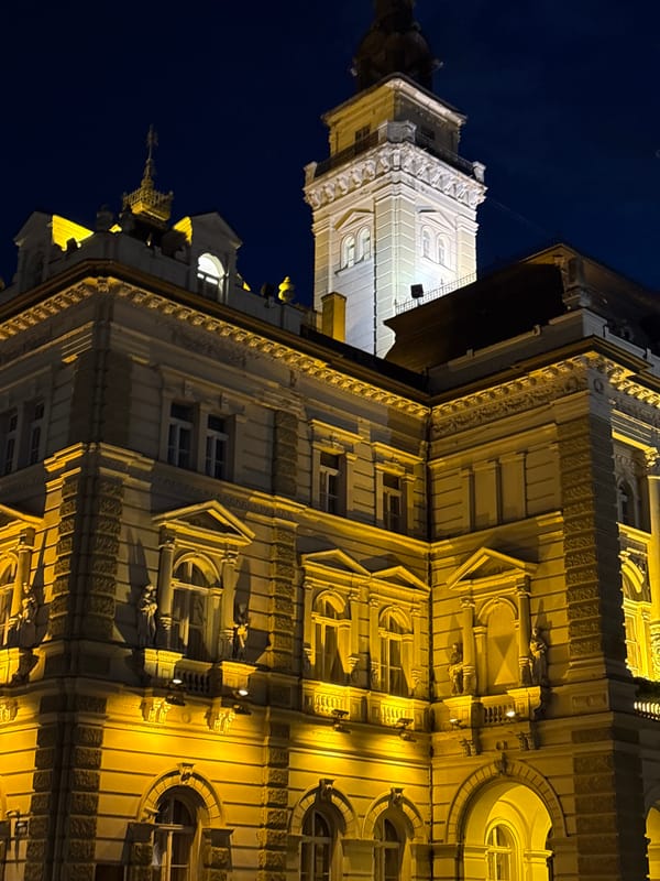 Novi Sad's illuminated City Hall and cathedral at night