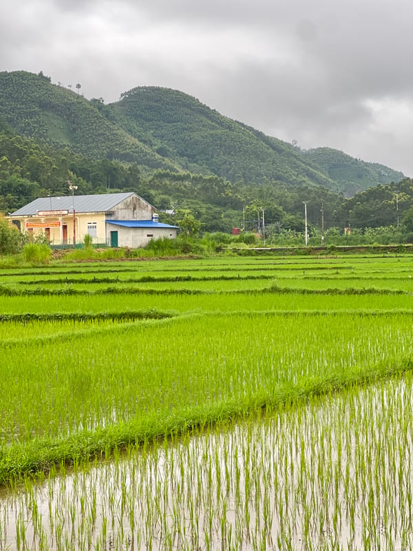 Wet roads and green rice paddies in rural northern Vietnam