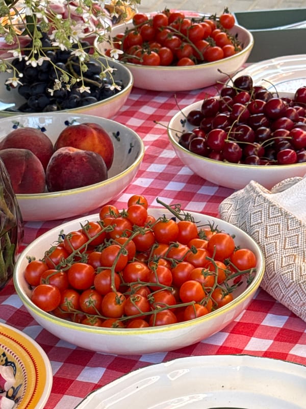 Casual outdoor picnic event with food and DJ in Kirov