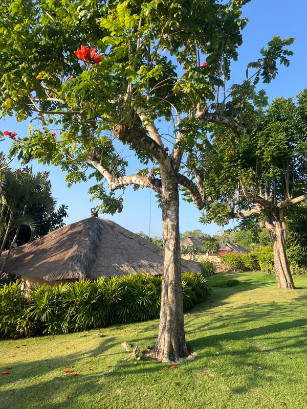 Lazy resort morning in Kuta Selatan, Bali