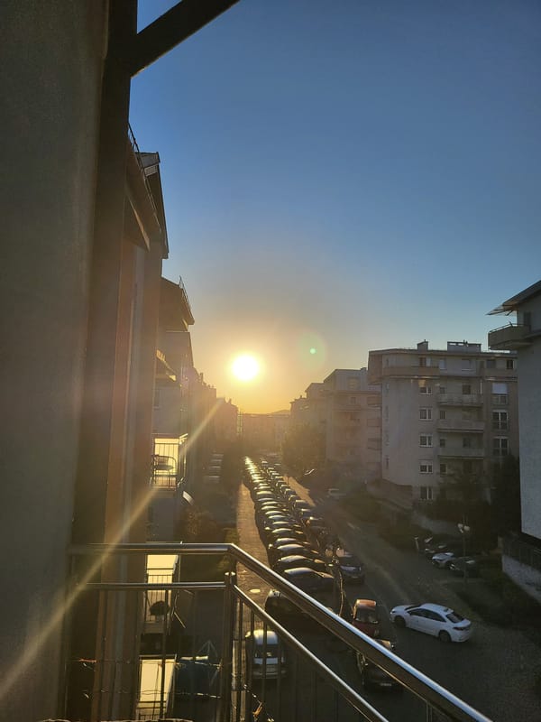 City street sunrise and indoor cat captured by witnesses