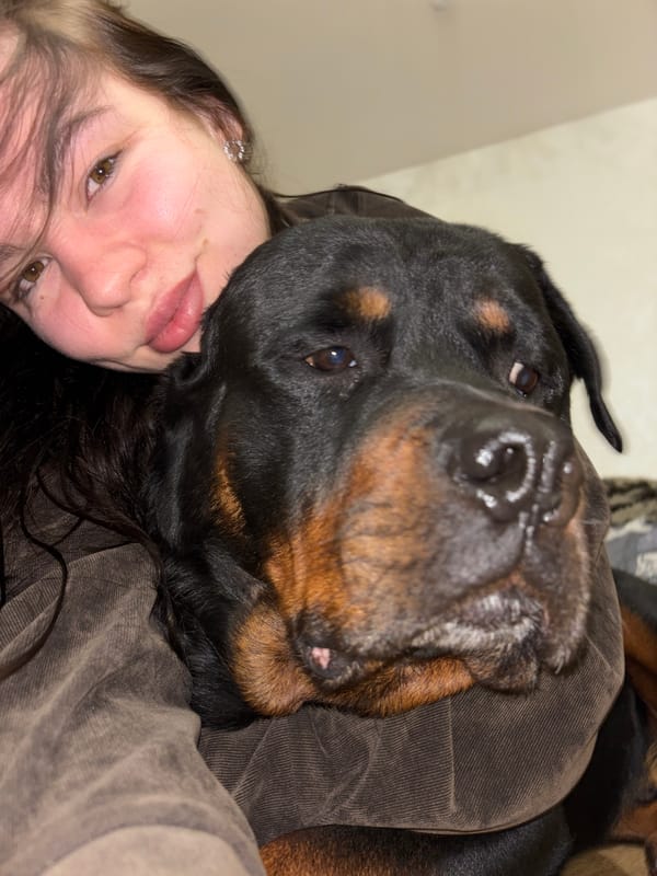 Person poses with Rottweiler in intimate portrait, Perm