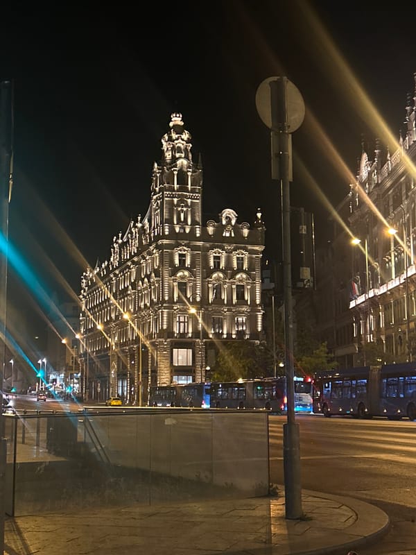 Night out documented across Budapest's illuminated streets and venues