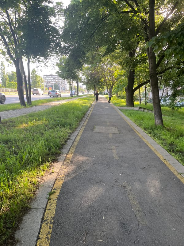 Pedestrian walkway with yellow markings observed in Sofia