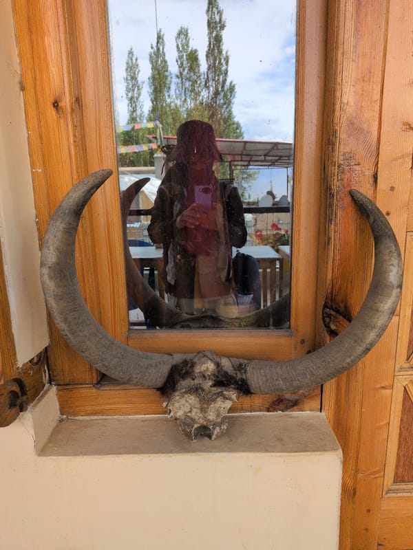 Traditional details and animal skulls in old Leh