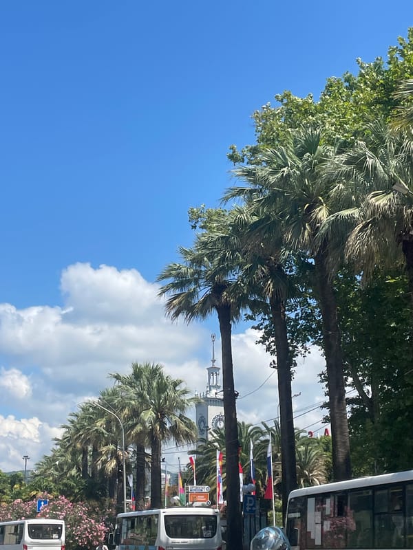 Sunny morning scenes along a busy Sochi street