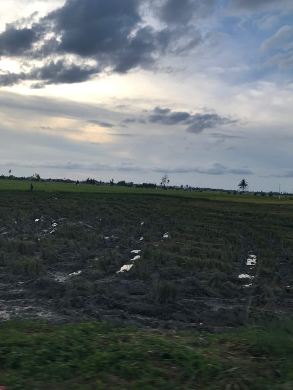Rural life documented in Bateiiliek, Indonesia agricultural area