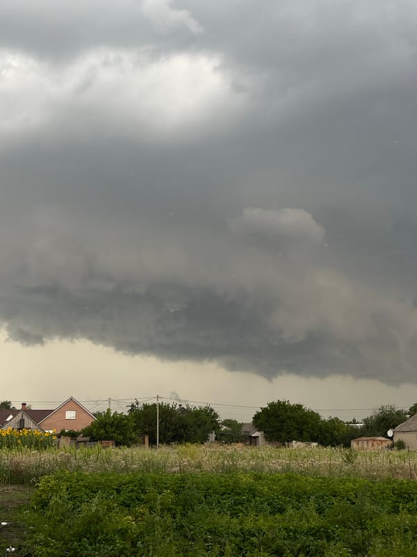 Storm clouds roll in over a sunflower field
