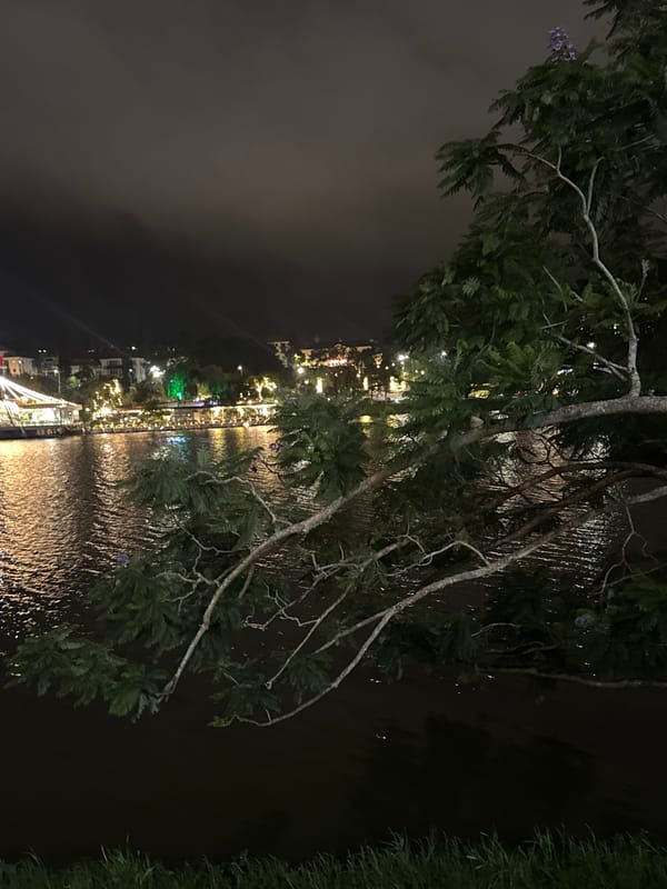 Evening scenes captured around illuminated Xuan Huong Lake Da Lat