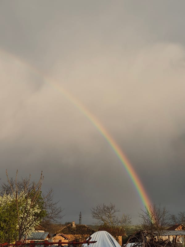 Rainbow appears over suburban area, witnessed by locals