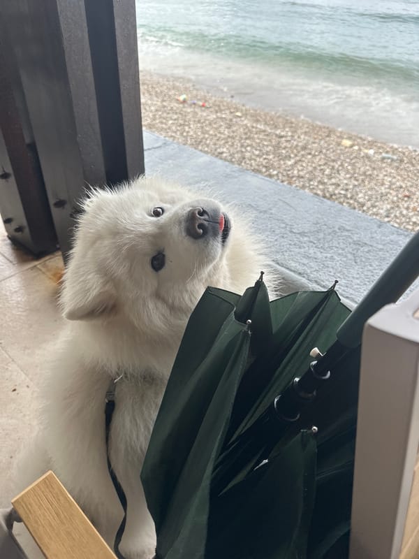 Morning scenes documented across Montenegro coastal towns during rainy weather