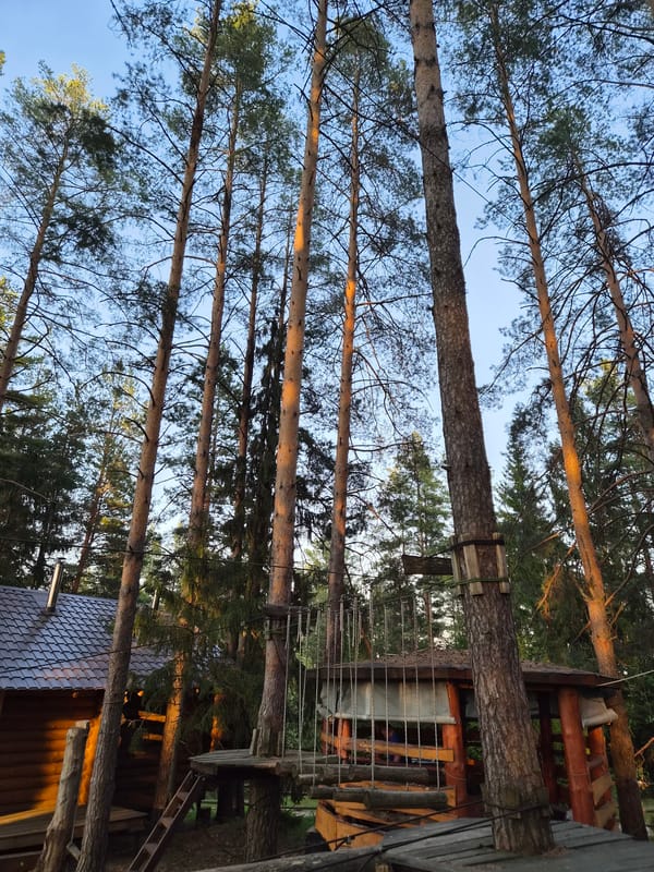 Casual moments captured in Russian forest park setting