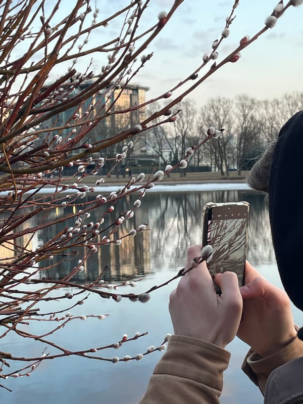Spring sunset photography session documented along Saint Petersburg waterways