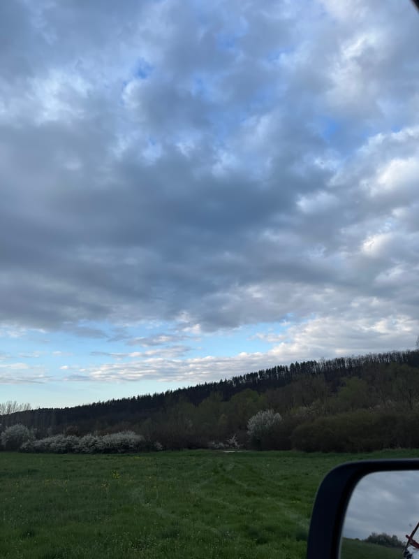 Spring blossoms observed in rural Bulgarian landscape