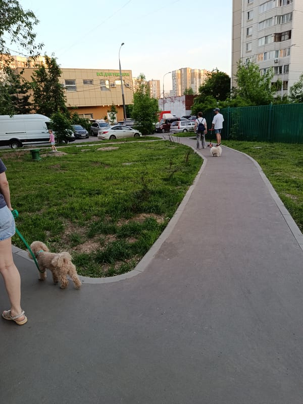 Evening neighborhood scenes documented in Moscow residential area