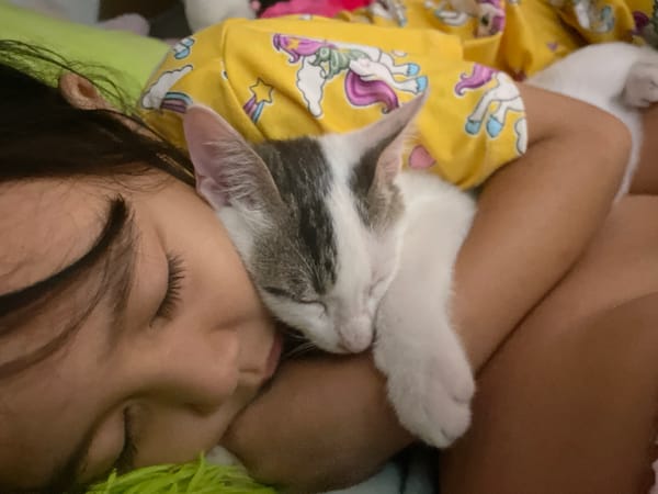 Child naps with cat in Davao City bedroom