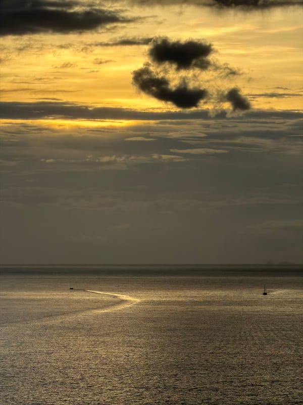 Sunset, seafood pasta, and live trumpet in Baan Plai Laem