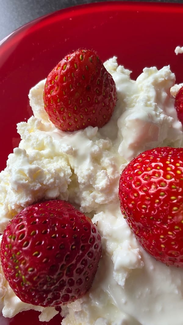 Breakfast Documentation: Cottage Cheese with Strawberries and Cereal Bar