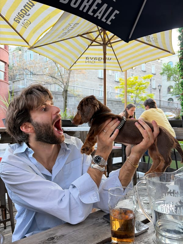 Friends gather with dog on Montreal patio during summer evening