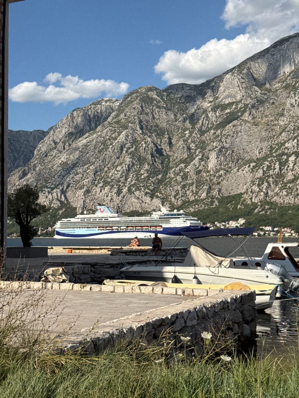Two cruise ships pass through the Bay of Kotor at Prčanj