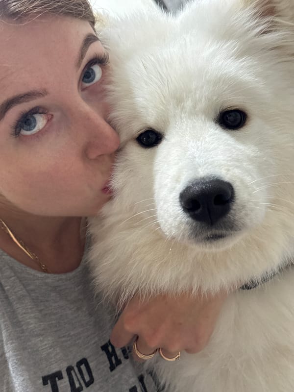 Pet owners share casual moments with dogs, cats in Chaikovsky
