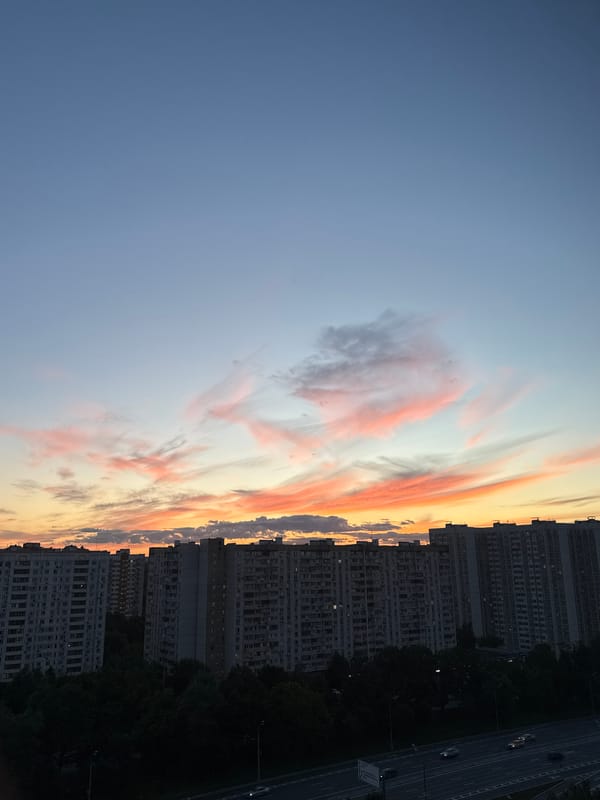 Moscow dusk skyline meets a quiet afternoon with two cats