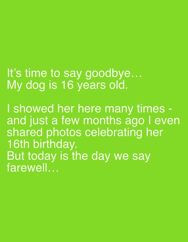 Kyiv resident shares farewell memories of 16-year-old dog