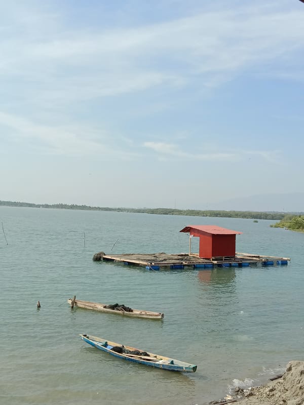 Peaceful water scene documented in Lhokseumawe, Indonesia