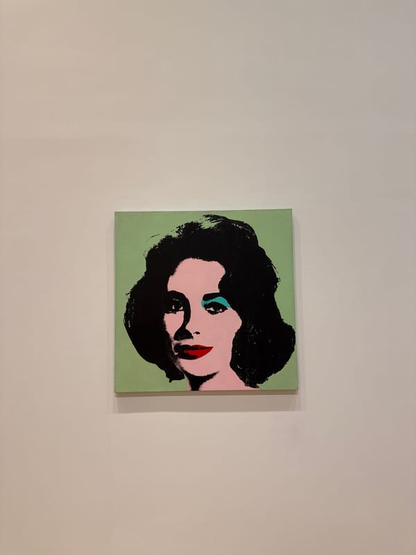 Warhol-style pop art portraits observed in Chicago gallery