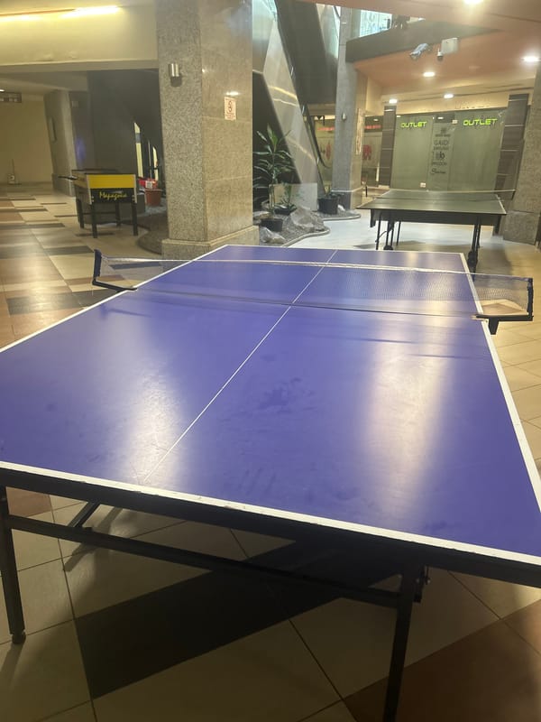 Table tennis and street scenes documented in Pleven, Bulgaria