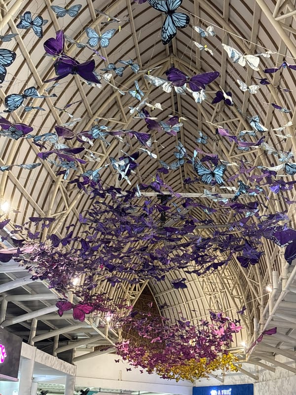 Illuminated BALI displays and butterfly installations documented in Kuta