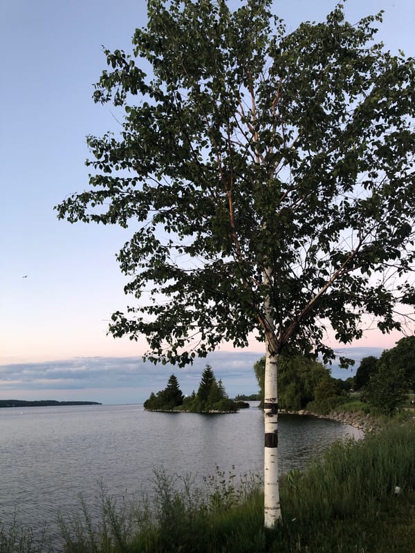 Kempenfelt Bay at golden hour, Barrie