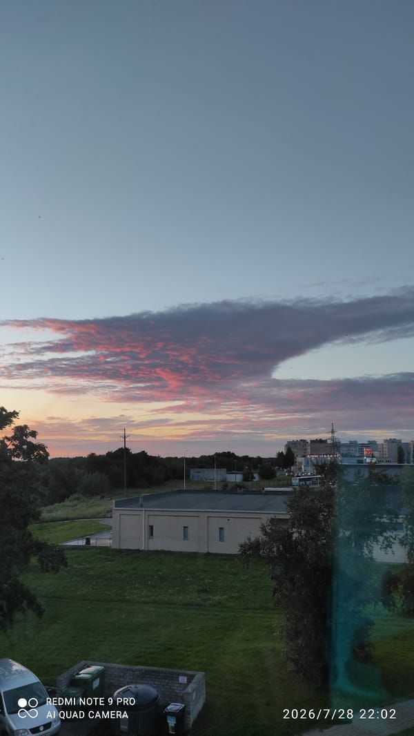 Pink dusk sky with birds, contrail, and fading sunset clouds