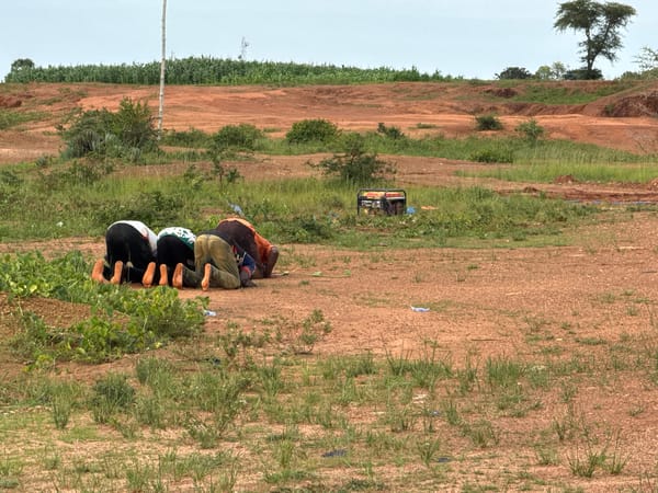 Rural life and landscape in Barakin Mairaga, northern Nigeria